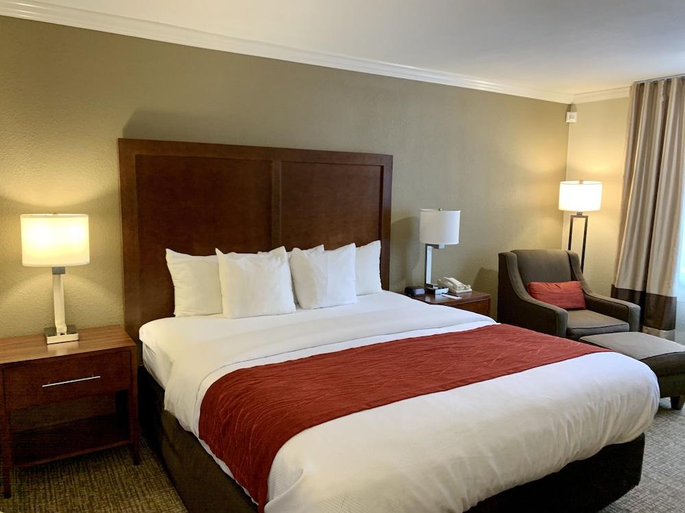 The Hills Eagle Rock - Near Old Town Pasadena Gasthof 2*