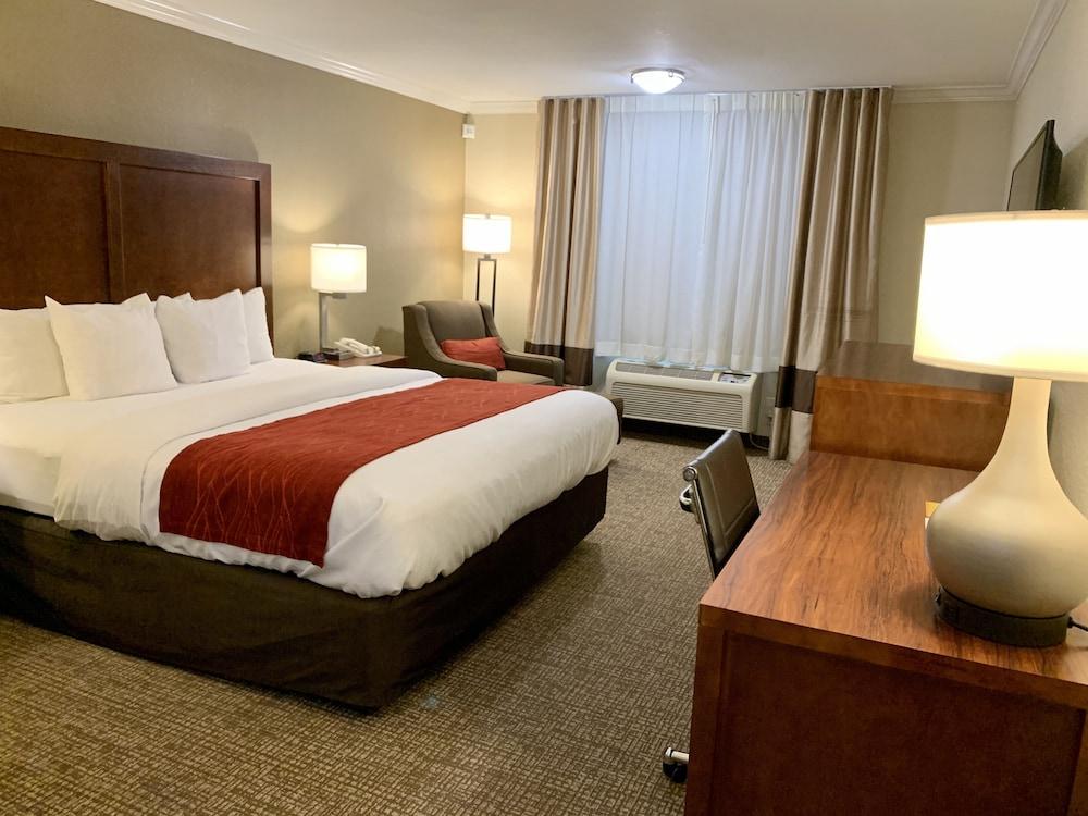 The Hills Eagle Rock - Near Old Town Pasadena Gasthof 2*